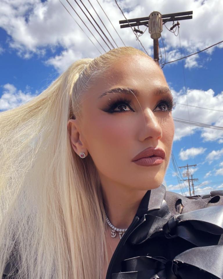 Gwen Stefani, 53, fans claim star looks 'so youthful' in new video after  she revealed her real skin texture in pics | The US Sun