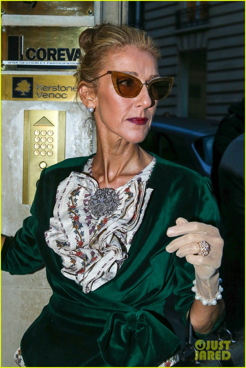 Celine Dion Responds to People Saying She's Too Skinny: Photo 4220207 |  Celine Dion Photos | Just Jared: Entertainment News