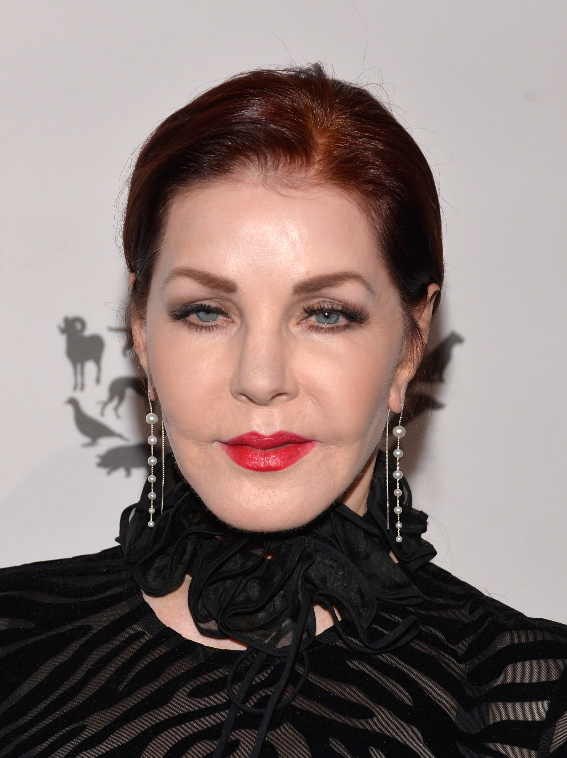 Priscilla Presley at the The Humane Society Of The United States in 2016 | Source: Getty Images